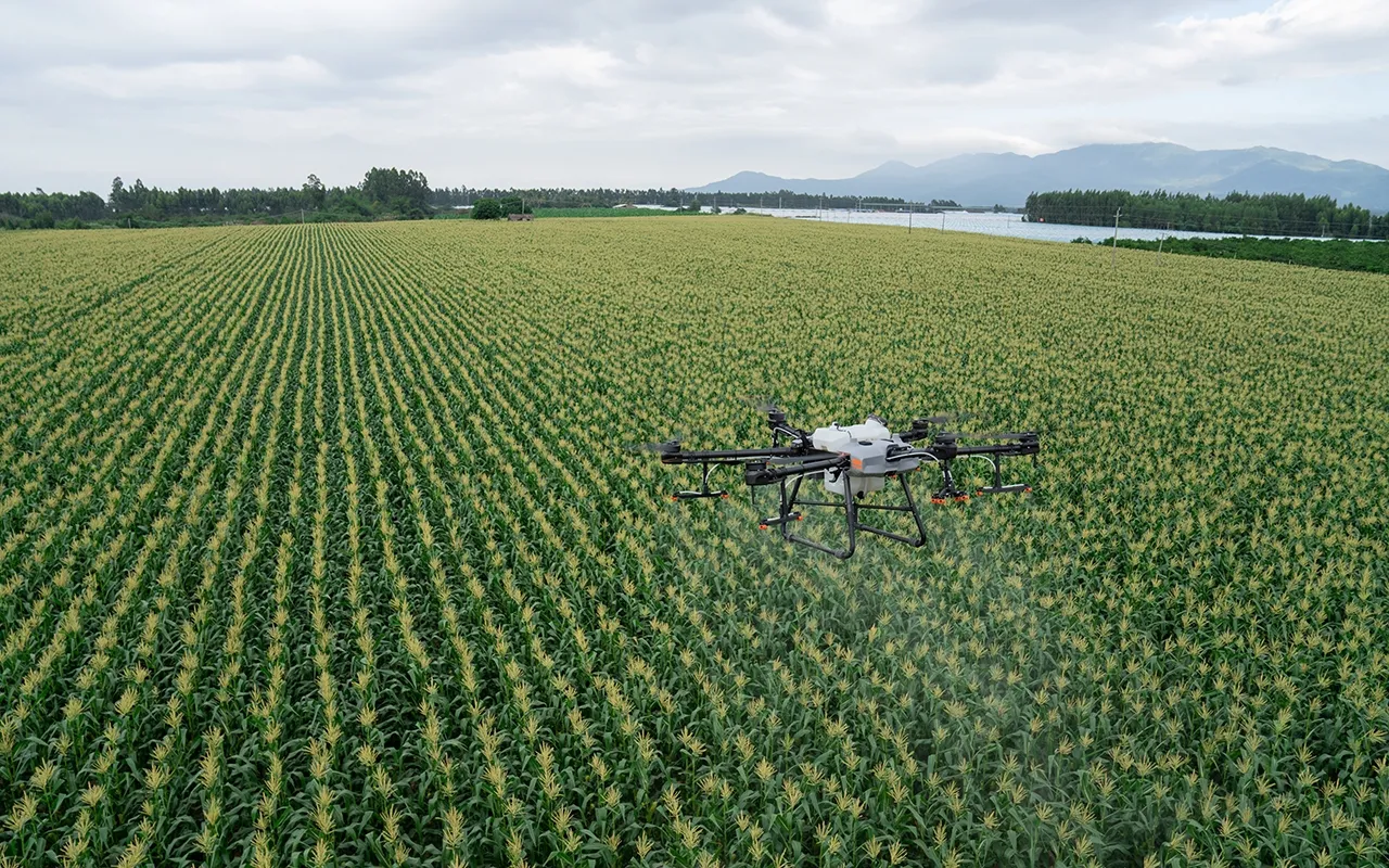 Mavic 3 Thermal